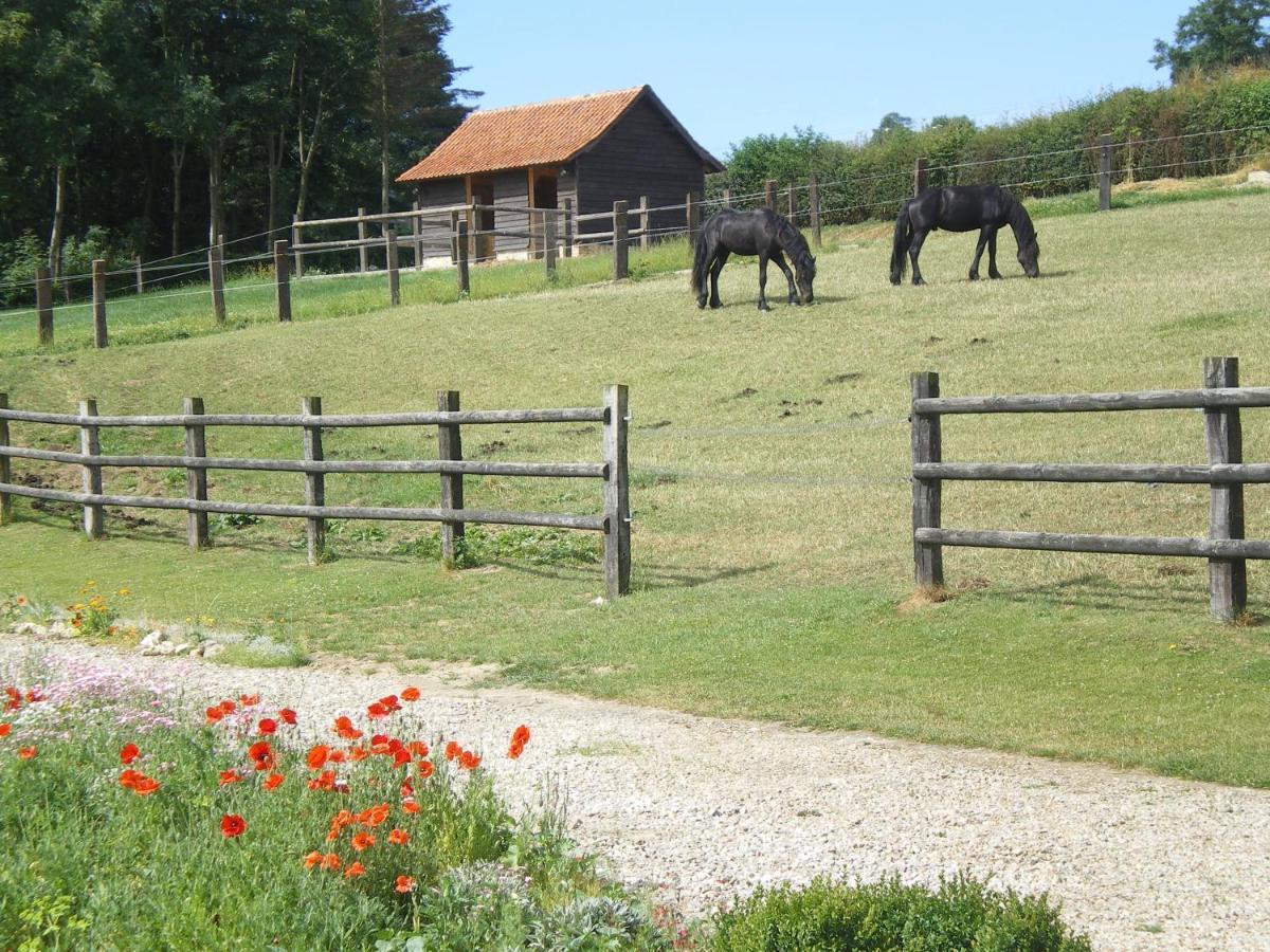 Ferme Des Tilleuls Bezinghem Extérieur photo